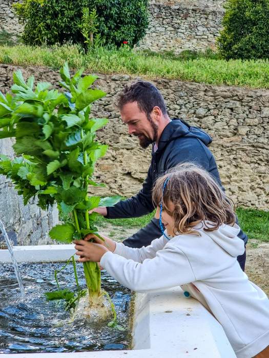 nouveau chef restaurant gastronomie française